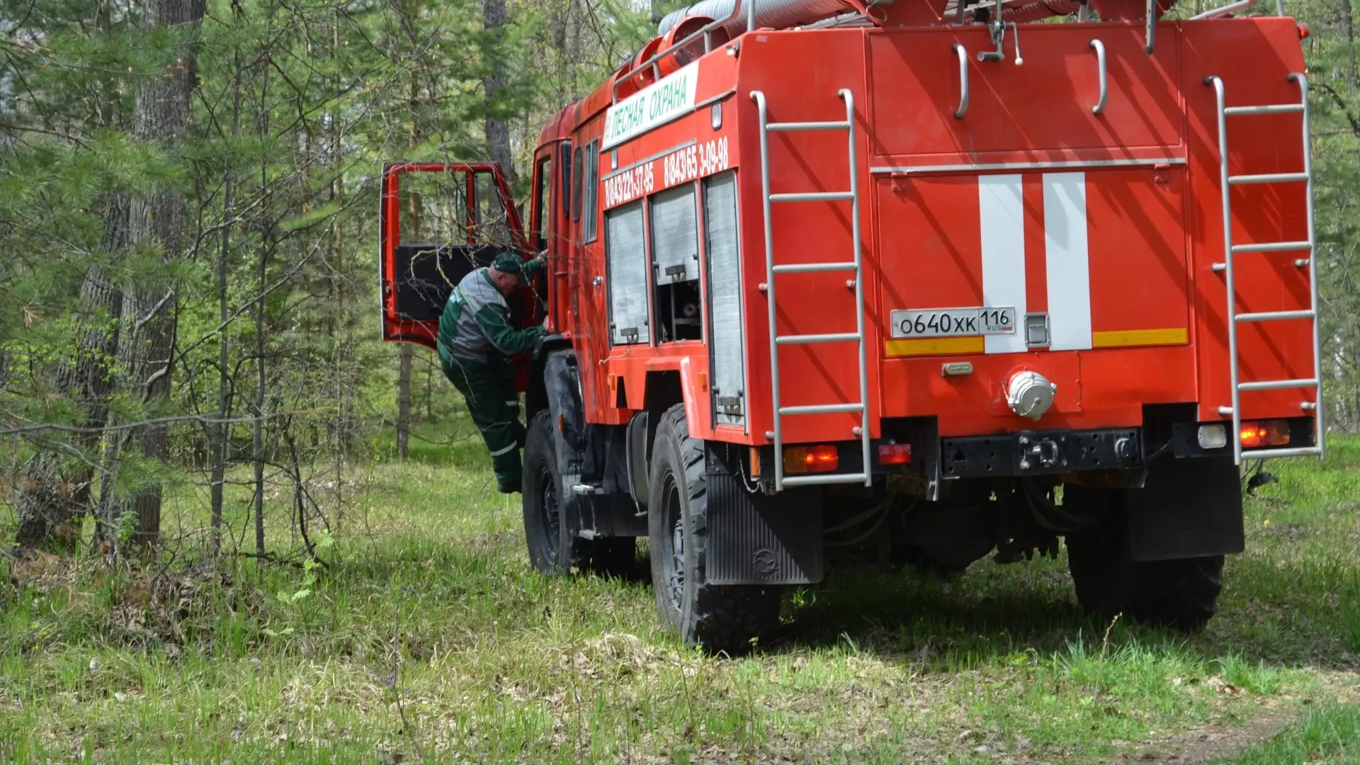 В Татарстане ожидаются лесные пожары