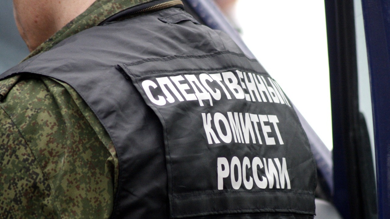 В Казани прошли обыски по делу сопредседателя «Голоса»* — СМИ
