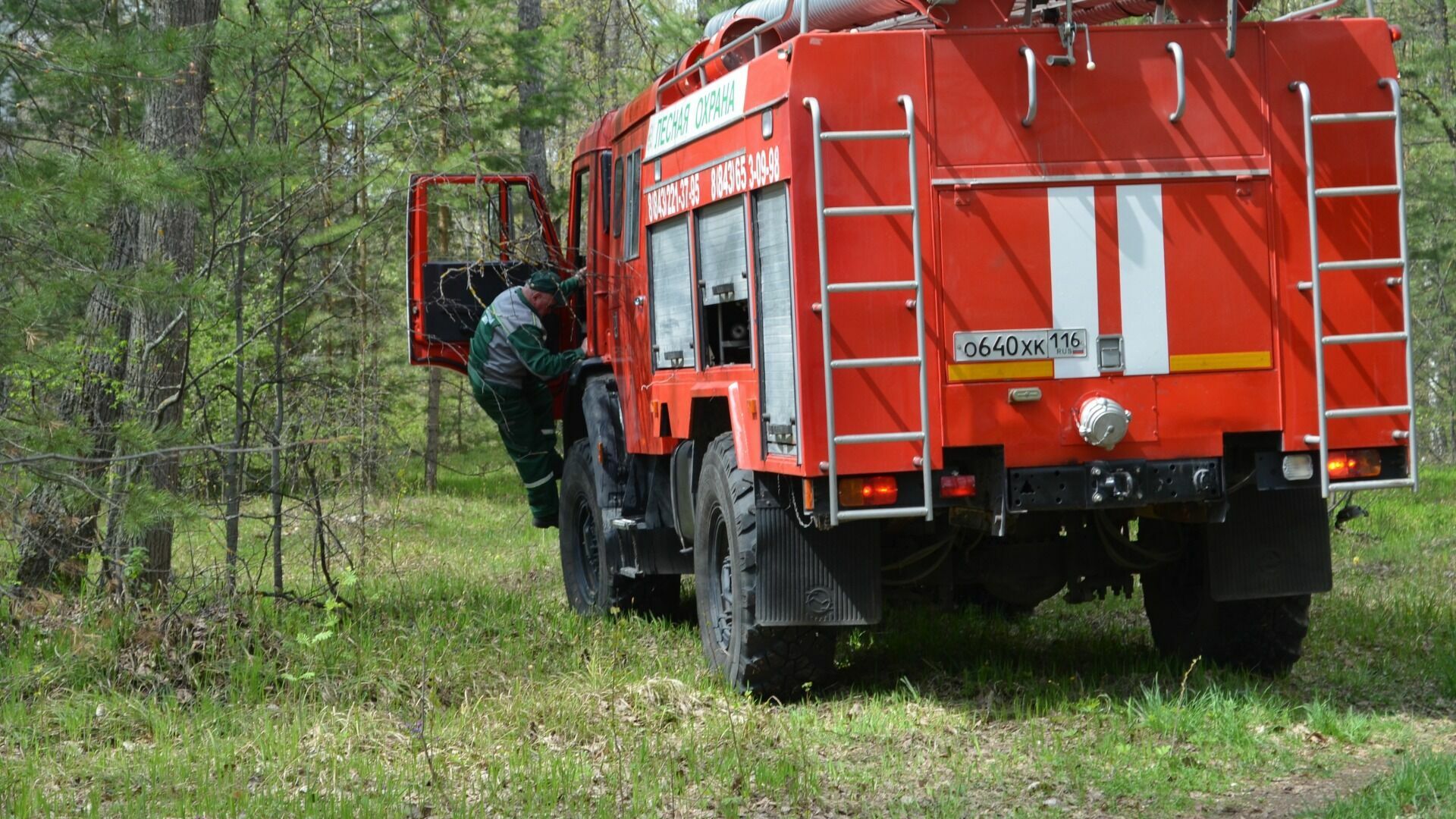 В Татарстане из-за риска лесных пожаров продлили штормовое предупреждение