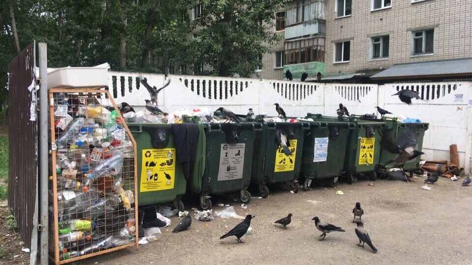 Татарстанские депутаты хотят изменить закон о мусоре