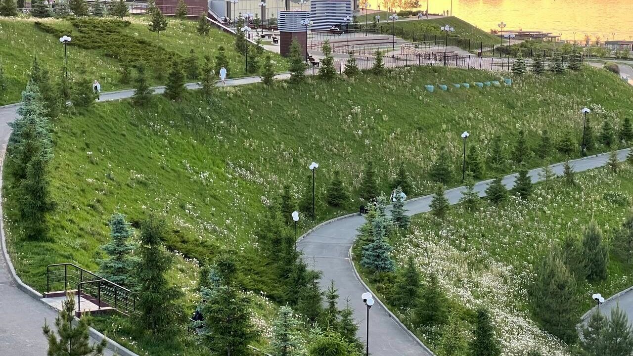Власти Казани прокомментировали заросшие сорняком склоны у НКЦ