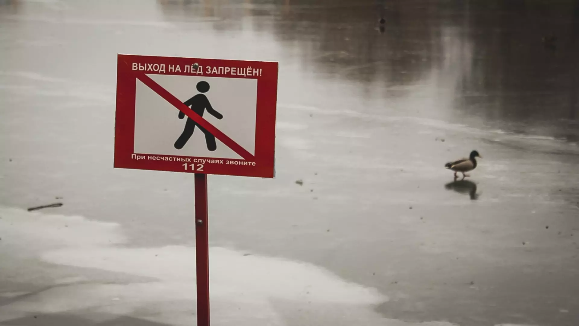 В Казани спасли двух детей, провалившихся под лед