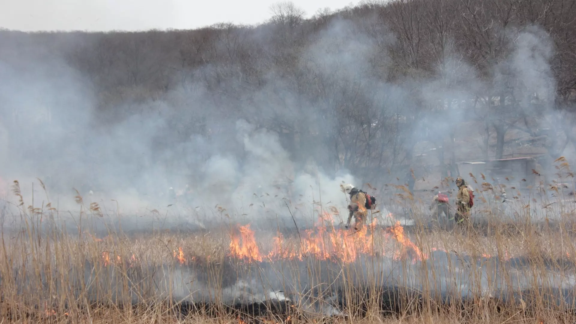 В Татарстане во время пожароопасного сезона произошло 942 возгорания
